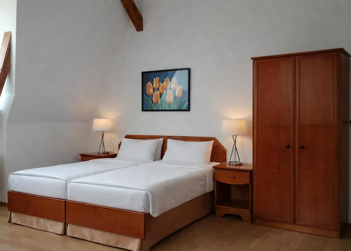 Residence Dykova - Former Pension Jana, Domov MladezePensjonat